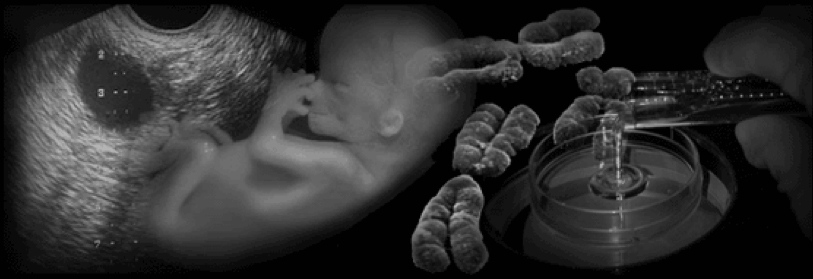 Medicina Prenatale